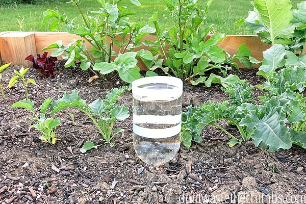 garden watering system soda bottle